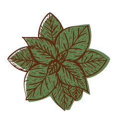 Laurel Leaves Icon