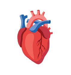 Human Heart Icon