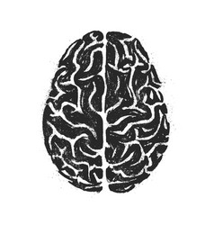 Human Brain Hand Drawn On White Background