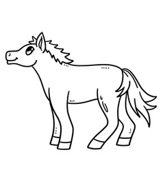 Baby Horse Isolated Coloring Page For Kids