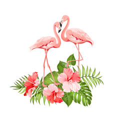 Flamingo background design tropical flowers Vector Image