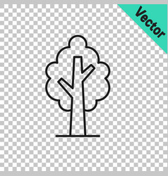 Black Line Tree Icon Isolated On Transparent