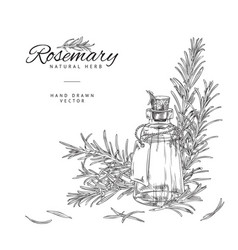 Rosemary Plant And Oil Bottle Poster Template