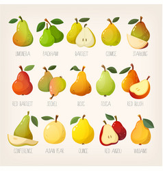 Kinds Pears