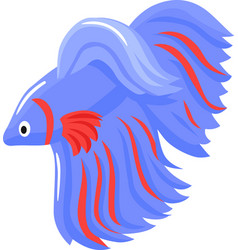 Siamese Fighting Fish Composition