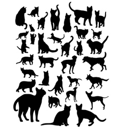 Cat And Dog Silhouettes