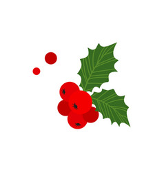 Christmas Holly Berry Mistletoe And Leaf