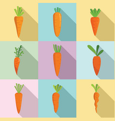 Carrot Icons Set Flat Style