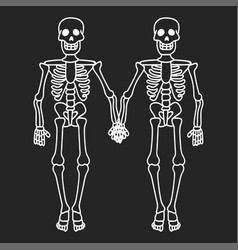 Couple Of Skeletons Holding Hands Contour Drawing