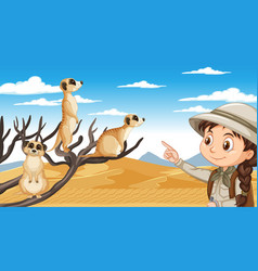 A Girl Explorer With Meerkat Group In Desert