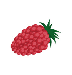 Blackberry Fruit Icon