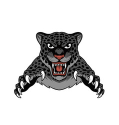 Jaguar Mascot Design Leopard Hand Drawn