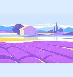 Provence Landscape With Lavender Field