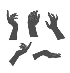 Set Of Human Hands With Different Graceful