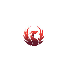 Best Phoenix Bird Logo Design