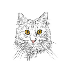 Cute Cat Head Line Art