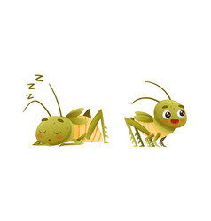 Cute Little Grasshopper Character Standing