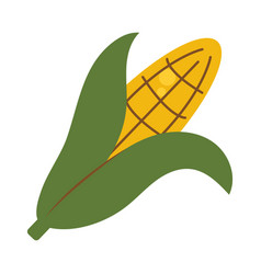 Corn Cob Icon