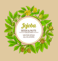 Jojoba Branches Frame On Color Background