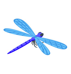 Blue Wing Dragonfly Icon Isometric Fly