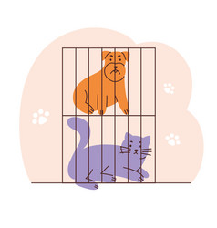 Of A Sad Dog And Cat In Cages