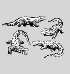 Set Of Crocodile Hand Drawn