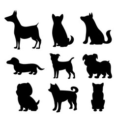 Silhouette Dogs Collection