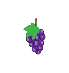 Grape Logo Design Template