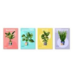 House Plants Posters