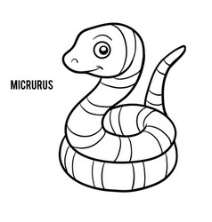 Coloring Book Micrurus