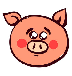 Sad Little Pig On White Background