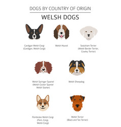 Dogs By Country Of Origin Walsh Dog Breeds