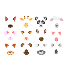 Animal Face Masks For Video And Photo Set