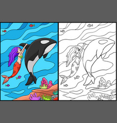 Mermaid And A Dolphin Coloring Page