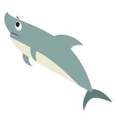 Sad Shark On White Background