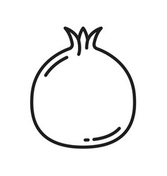 Fruit Pomegranate Isolated Garnet Line Icon