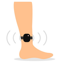 Ankle Monitor Device