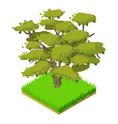 Butternut Tree Icon Isometric Style