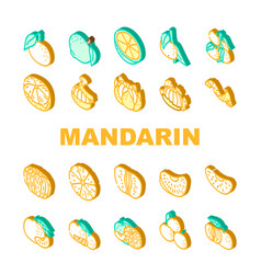 Mandarin Citrus Fruit Icons Set