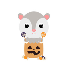 Cute Halloween Opossum Sitting In A Trick