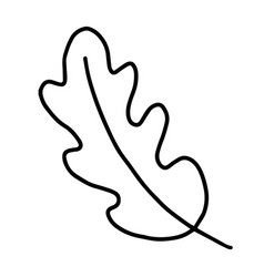 Hand Drawn Line Art Of Oak Leaf Decorative Floral