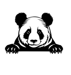 Bad Panda - Funny Wild Animal Peeking Out Face Vec