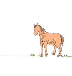 Continuous One Line Drawing A Horse Standing