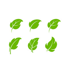 Leaf Icon