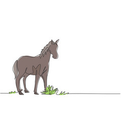 Single One Line Drawing Of A Horse Standing