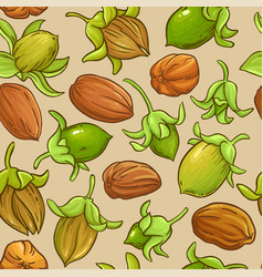 Jojoba Nuts Pattern On Color Background