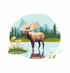 A Moose Standing In The Water On Background