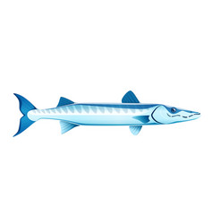 Cartoon Barracuda Sea Animal Predatory