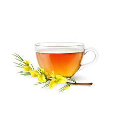 Realistic Rooibos Tea Cup And Flower 3d Glass