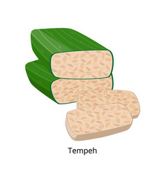 Tempeh Is Wrapped In Banana Leaves - Soybean